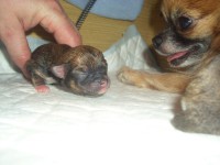 /album/listopad-2012/a17-11-2012-25-jpg/